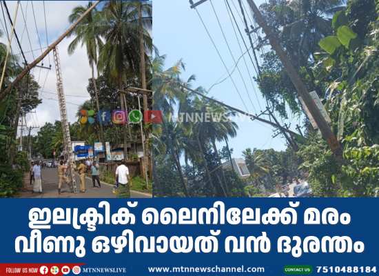 ഇലക്ട്രിക് ലൈനിലേക്ക് മരം വീണു ഒഴിവായത് വൻ ദുരന്തം