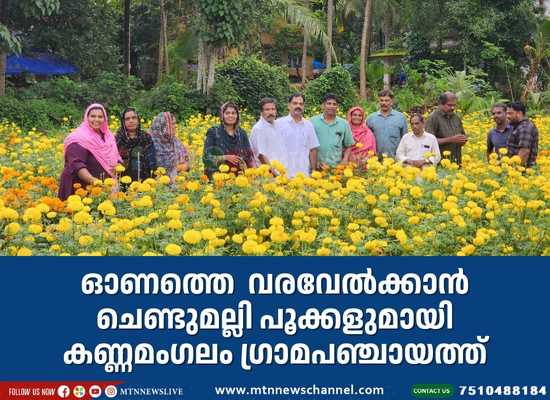 ഓണത്തെ വരവേൽക്കാൻ ചെണ്ടുമല്ലി പൂക്കളുമായി കണ്ണമംഗലം ഗ്രാമ പഞ്ചായത്ത്