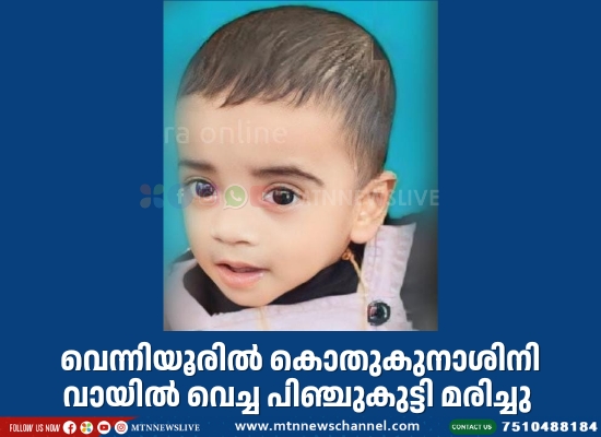 കൊതുകുനാശിനി വായിൽ വെച്ച പിഞ്ചുകുട്ടി മരിച്ചു