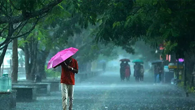 കള്ളക്കടല്‍ പ്രതിഭാസം, ഇന്നും ശക്തമായ മഴ, ഏഴ് ജില്ലകളില്‍ യെല്ലോ അലര്‍ട്ട്