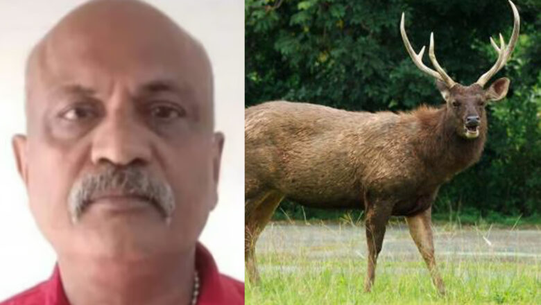 മ്ലാവിനെ വേട്ടയാടി കറി വച്ചു കഴിച്ചു; നിരവധി ക്രിമിനൽ കേസുകളിൽ പ്രതി; ഒളിവിൽ കഴിഞ്ഞ 50കാരൻ പിടിയിൽ