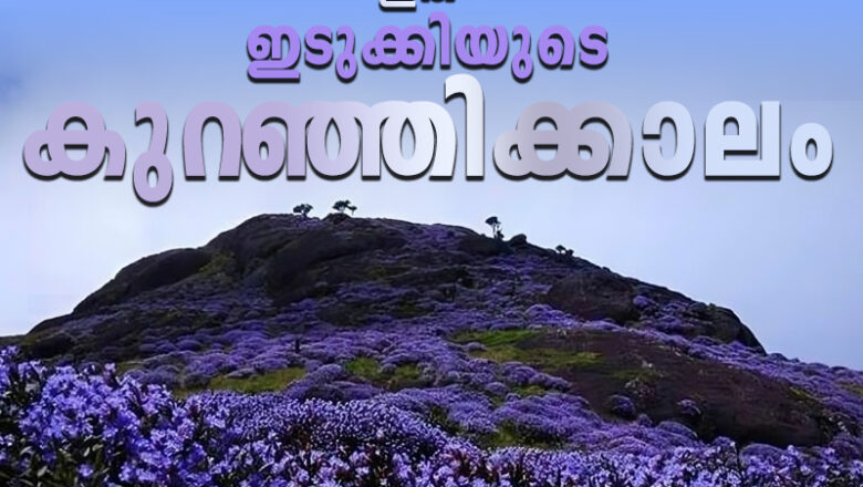 ഇത് ഇടുക്കിയുടെ കുറഞ്ഞിക്കാലം