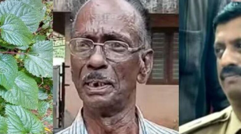 ‘സിനിമയല്ല സാറേ’; ചൊറിയണം തേച്ച് മര്‍ദിച്ച DYSPക്കും മുന്‍  SIക്കും  തടവും പിഴയും.
