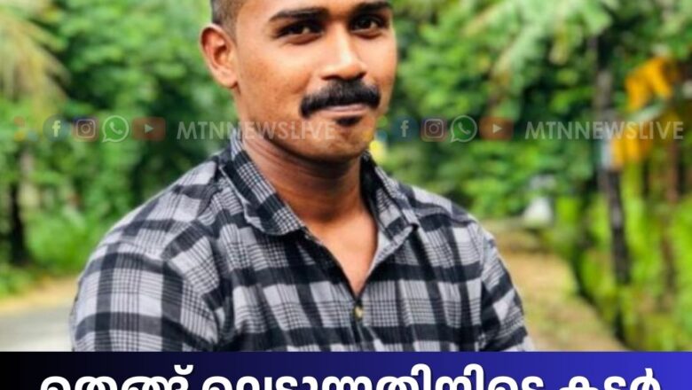 തെങ്ങ് വെട്ടുന്നതിനിടെ കട്ടര്‍ തെറിച്ചുവീണു കഴുത്തില്‍ തട്ടി യുവാവിന് ദാരുണന്ത്യം