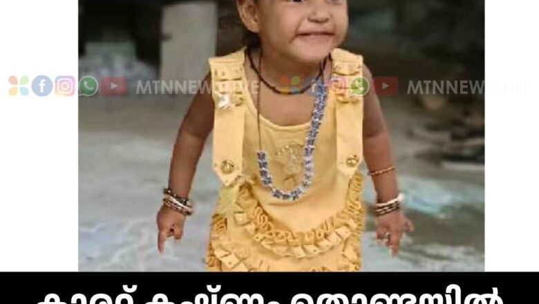 കാരറ്റ് കഷ്ണം തൊണ്ടയിൽ കുരുങ്ങി രണ്ടര വയസുകാരിക്ക് ദാരുണാന്ത്യം.