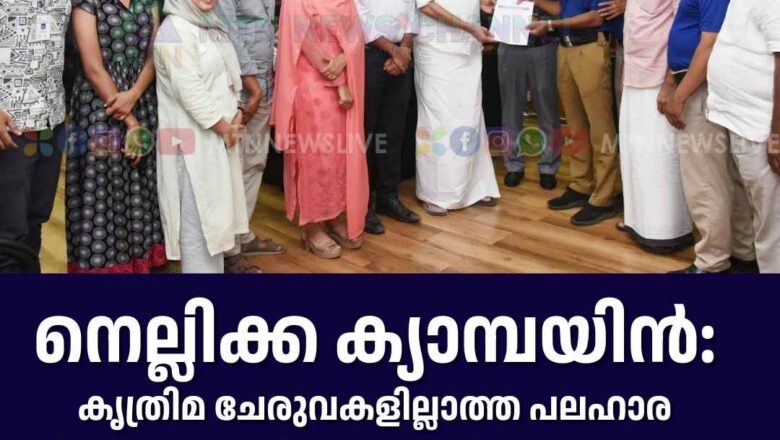 നെല്ലിക്ക ക്യാമ്പയിന്‍: കൃത്രിമ ചേരുവകളില്ലാത്ത പലഹാര വിതരണപദ്ധതിയുമായി ജില്ലാ ഭരണകൂടം