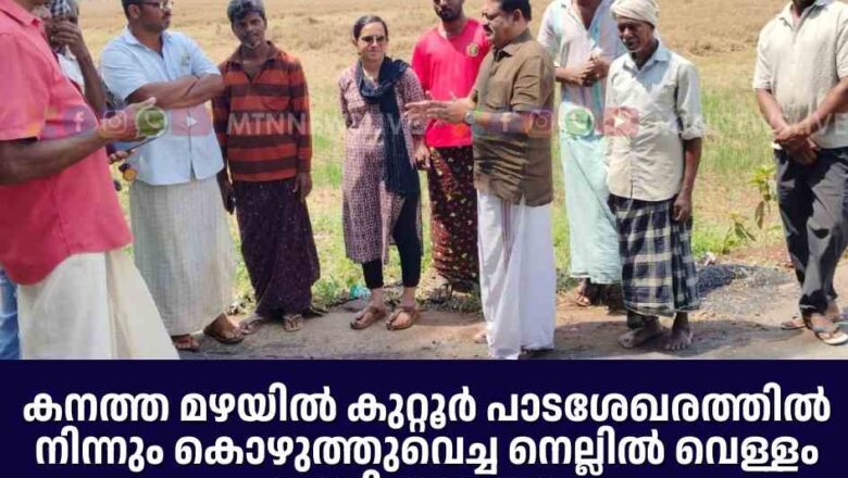 കനത്ത മഴയിൽ നെല്ലിൽ വെള്ളം കയറി നാശനഷ്ടം