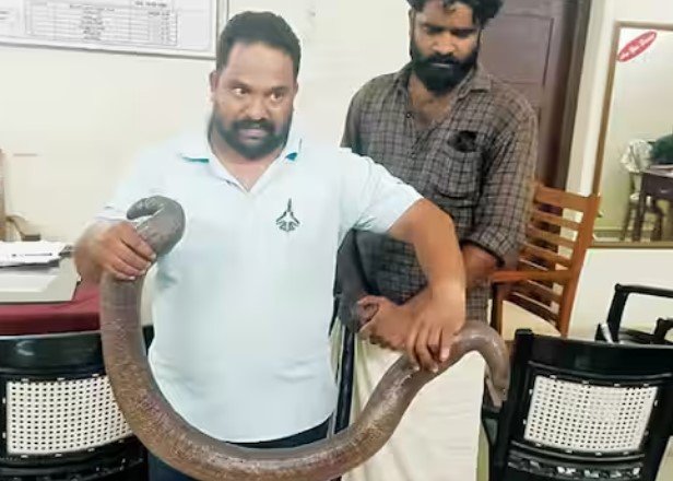 ഇരുതലമൂരി വിൽക്കാനെത്തിയ യുവാക്കള്‍ പിടിയിലായി.