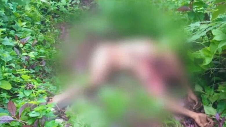 മലപ്പുറം കാളികാവില്‍ യുവാവിനെ പുലി കടിച്ചുകൊന്നു