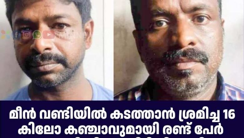 മീ​ന്‍ വ​ണ്ടി​യി​ല്‍ ക​ട​ത്താ​ന്‍ ശ്ര​മി​ച്ച 16 കി​ലോ ക​ഞ്ചാ​വു​മാ​യി ര​ണ്ട് പേ​ര്‍ പൊ​ലി​സി​ന്റെ പി​ടി​യി​ലാ​യി