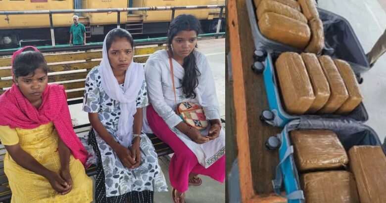 23 കിലോ കഞ്ചാവുമായി മൂന്ന് സ്ത്രീകൾ പിടിയിൽ.