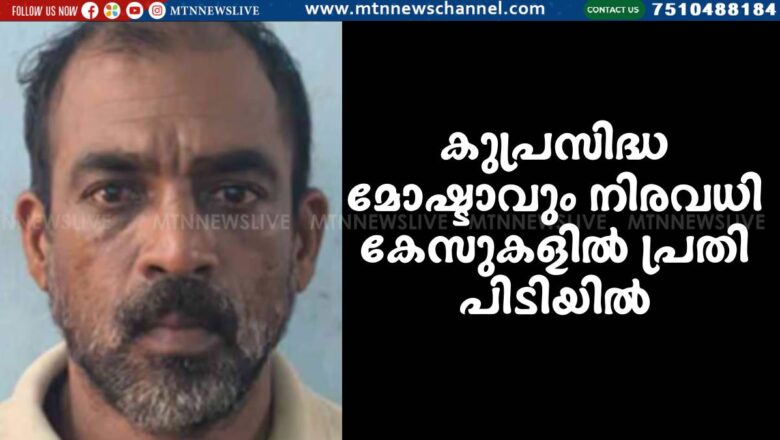 കുപ്രസിദ്ധ മോഷ്ടാവും നിരവധി കേസുകളില്‍ പ്രതി പിടിയില്‍