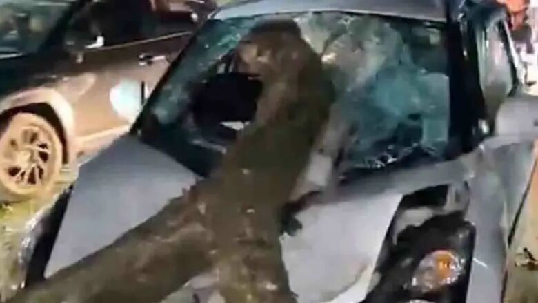 ലോറി തട്ടി മുറിഞ്ഞുവീണ മരക്കൊമ്ബ് കാറിനുള്ളിലേക്ക് തറച്ചുകയറി യുവതിക്ക് ദാരുണാന്ത്യം