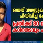 ഒമ്പത് വയസ്സുകാരിയെ വീട്ടിൽ അതിക്രമിച്ച് കയറി പീഡിപ്പിച്ച പ്രതിക്ക് 80 വർഷം കഠിനതടവും