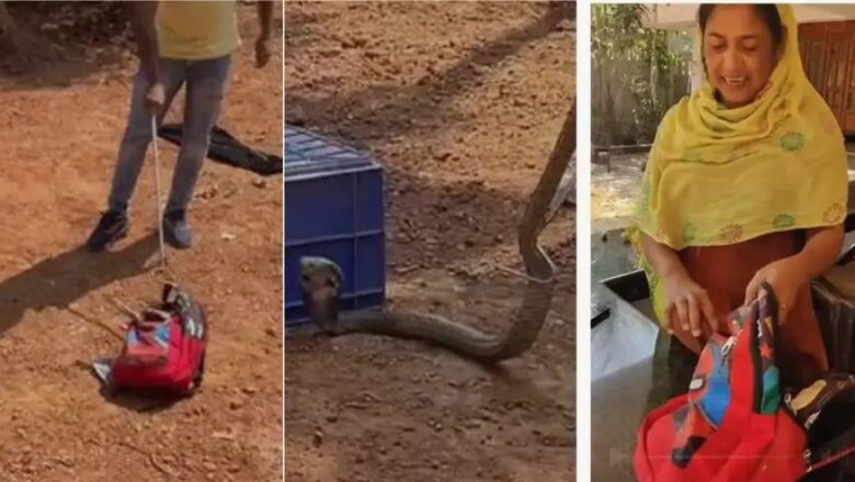 ഒന്നാം ക്ലാസുകാരന്റെ സ്കൂൾ ബാഗിൽ മൂർഖൻ പാമ്പ്