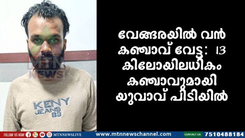 വേങ്ങരയിൽ വൻ കഞ്ചാവ് വേട്ട: 13 കിലോയിലധികം കഞ്ചാവുമായി യുവാവ് പിടിയിൽ