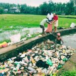 അരീക്കതോട്ടിലെ പ്ലാസ്റ്റിക് മാലിന്യങ്ങൾ നീക്കം ചെയ്തു