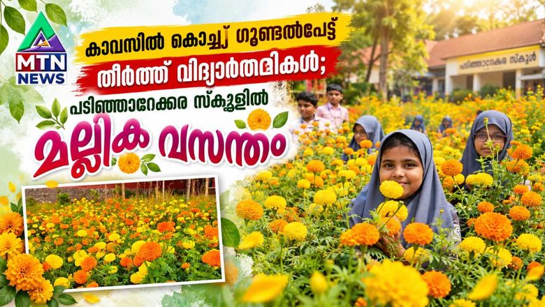 കാമ്പസിൽ കൊച്ചു ഗുണ്ടൽപേട്ട് തീർത്ത് വിദ്യാർത്ഥികൾ; പടിഞ്ഞാറേക്കര സ്കൂളിൽ മല്ലിക വസന്തം