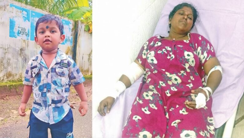 അമ്മയ്ക്കൊപ്പം നിന്ന രണ്ടുവയസ്സുകാരൻ ട്രെയിനിടിച്ച് മരിച്ചു