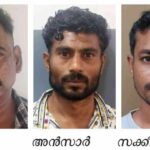 നിരന്തര കുറ്റവാളികളായ മൂന്നുപേരെ കാപ്പ ചുമത്തി